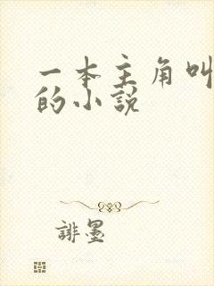 一本主角叫林洛的小说