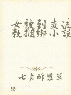 女被到爽流片调教捆绑小说封面