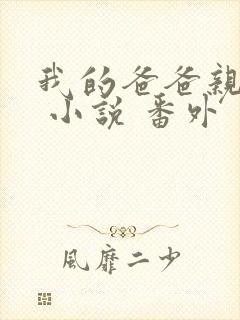 我的爸爸亲父女 小说 番外封面