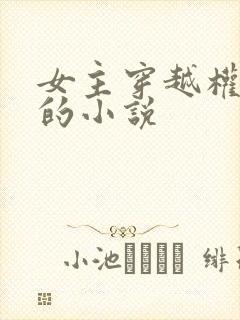 女主穿越权谋类的小说封面