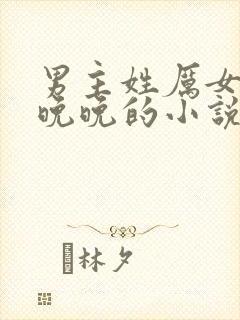 男主姓厉女主叫晚晚的小说