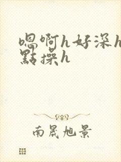 嗯啊h好深h轻点操h