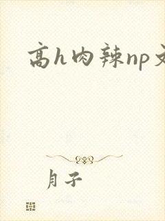 高h肉辣np文