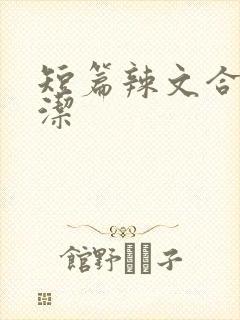 短篇辣文合集白洁