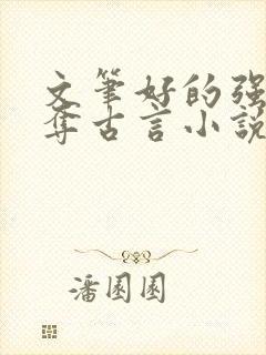 文笔好的强取豪夺古言小说封面