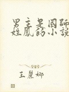 男主是国师女主姓凤的小说