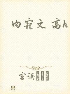 肉宠文 高h