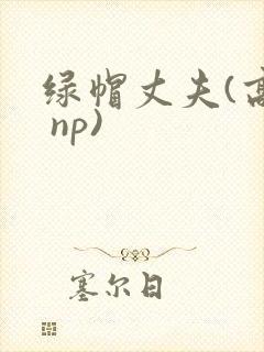 绿帽丈夫(高h np)封面