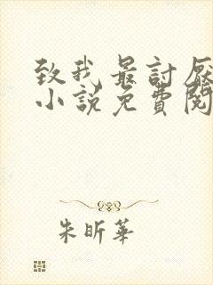 致我最讨厌的你小说免费阅读封面