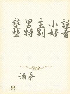 双男主小说有哪些特别好看的