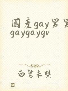 国产gay男男gaygaygv