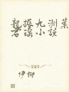 龙振九洲叶楚姜君瑶小说