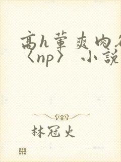 高h荤爽肉欲文〈np〉 小说封面