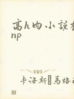高h肉小说校园np
