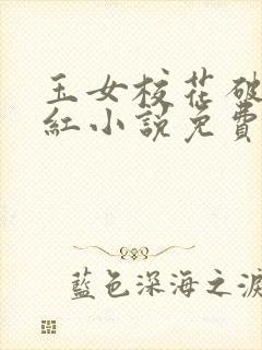 玉女校花破瓜落红小说免费阅读