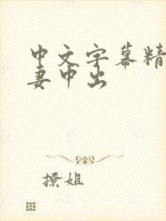 中文字幕精品人妻中出