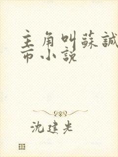 主角叫苏诚的都市小说