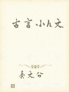古言小h文