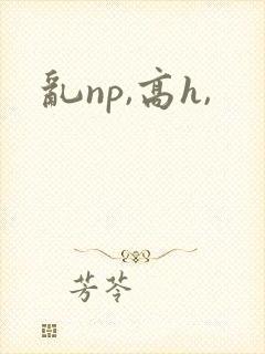 乱np,高h,封面