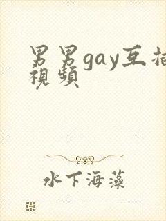 男男gay互插视频