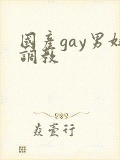 国产gay男奴调教