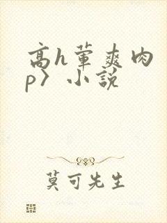 高h荤爽肉〈np〉小说