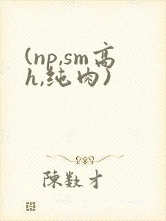 (np,sm高h,纯肉)