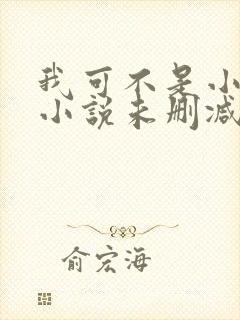 我可不是小心眼小说未删减版