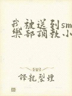 我被送到sm俱乐部调教小说