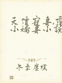 天价宠妻,霍总小娇妻小说免费封面