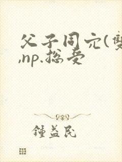 父子同穴(双性,np.总受