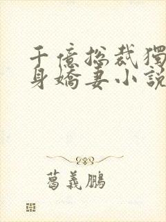 千亿总裁独宠替身娇妻小说