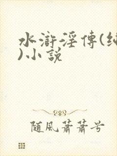 水浒淫传(纯肉)小说