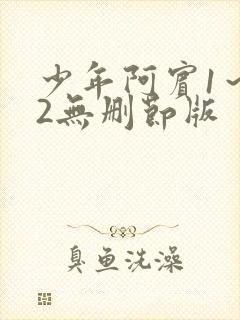 少年阿宾1～72无删节版封面