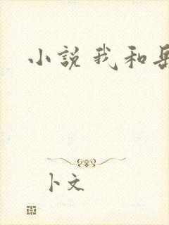 小说 我和岳母封面
