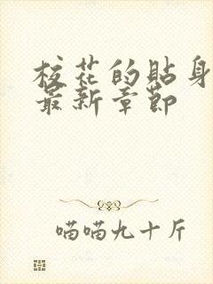 校花的贴身高手最新章节