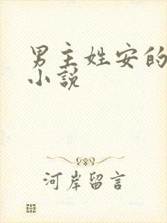 男主姓安的总裁小说