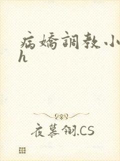 病娇调教小说高h