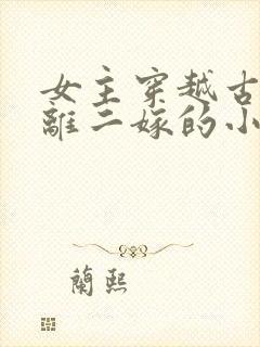 女主穿越古代和离二嫁的小说