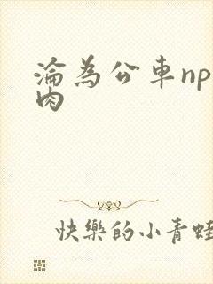 沦为公车np纯肉封面
