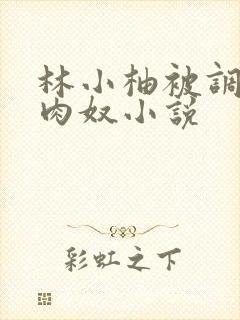 林小柚被调教成肉奴小说封面