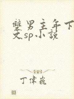 双男主年下训诫文sp小说封面