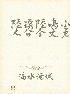 陆瑶陆鸣小说主人公全文免费阅读笔趣阁