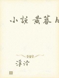 小说 黄蓉 h