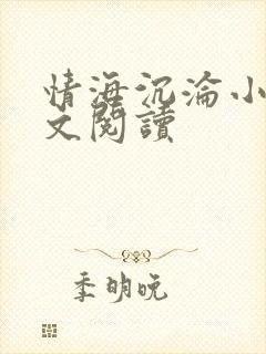 情海沉沦小说全文阅读封面