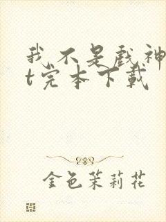 我不是戏神txt完本下载