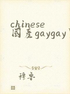 chinese国产gaygay男男网站