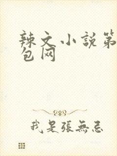 辣文小说第二书包网