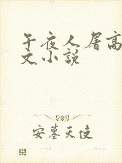 午夜人屠高辣h文小说