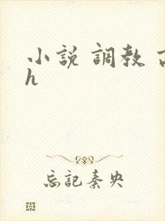 小说 调教 高h